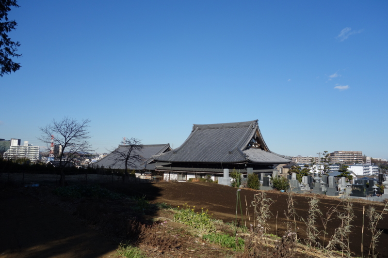 f:id:massneko:20150110132407j:plain f:id:massneko:20150110132407j:plain