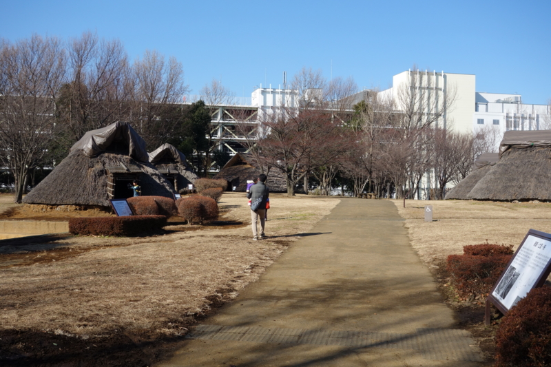 f:id:massneko:20150111113251j:plain