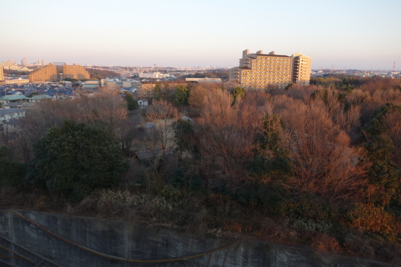 f:id:massneko:20150111162714j:plain f:id:massneko:20150111162714j:plain