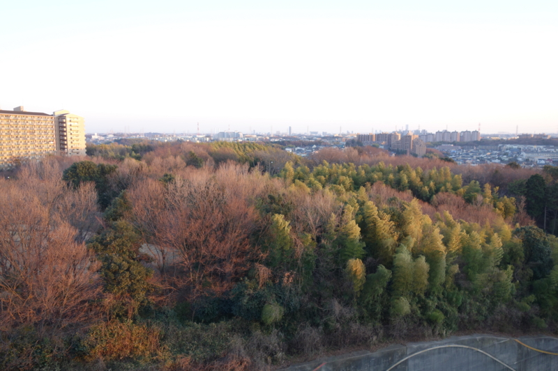 f:id:massneko:20150111162804j:plain f:id:massneko:20150111162804j:plain