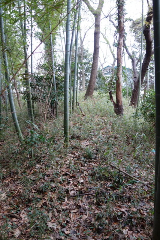 f:id:massneko:20150124132342j:plain