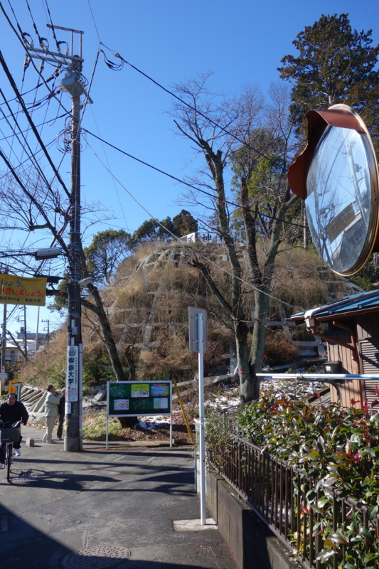 f:id:massneko:20150131101653j:plain