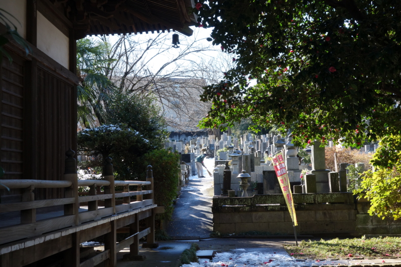 f:id:massneko:20150131102333j:plain