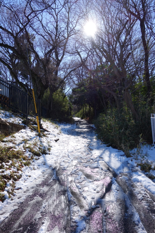 f:id:massneko:20150131102938j:plain