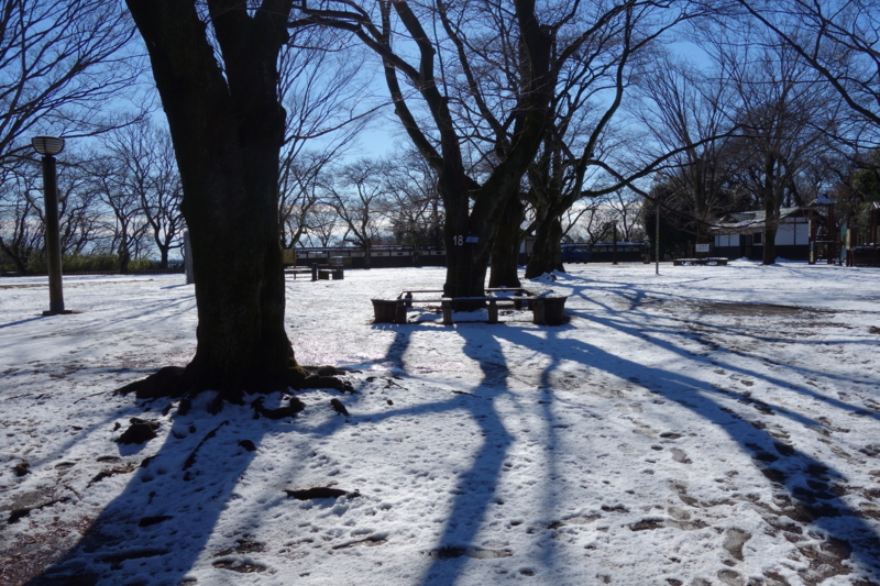 f:id:massneko:20150131103202j:plain