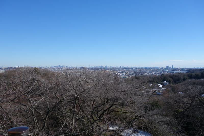 f:id:massneko:20150131103349j:plain