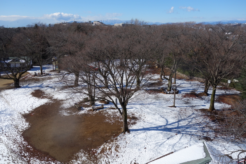 f:id:massneko:20150131103548j:plain