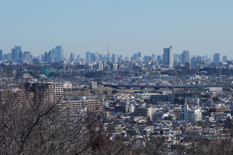 f:id:massneko:20150131103846j:plain