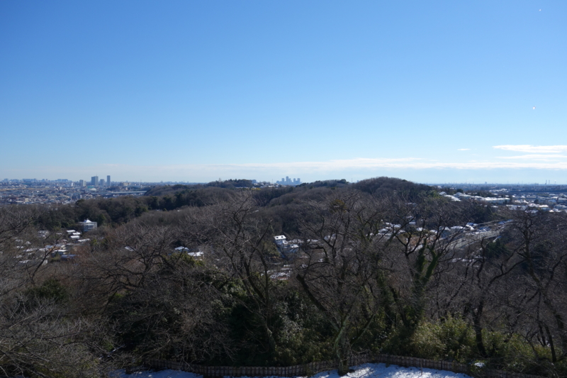 f:id:massneko:20150131104103j:plain