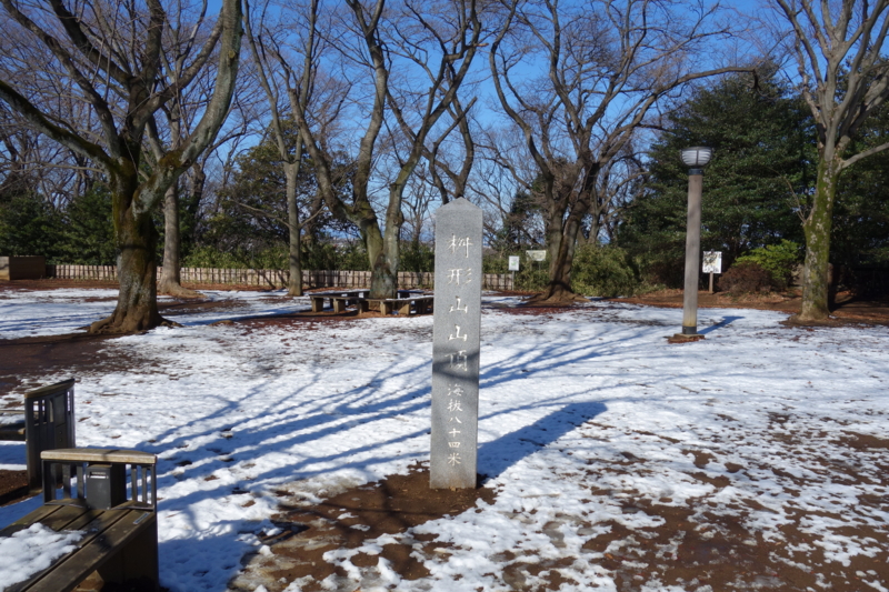 f:id:massneko:20150131104300j:plain