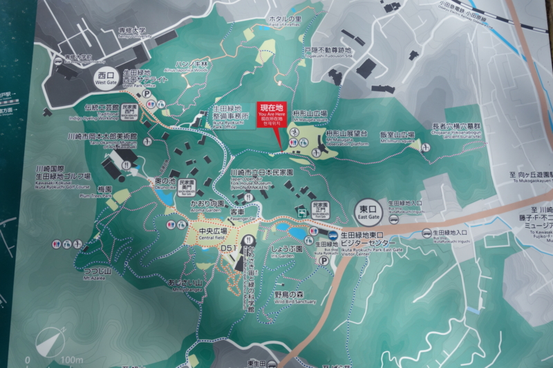 f:id:massneko:20150131104512j:plain