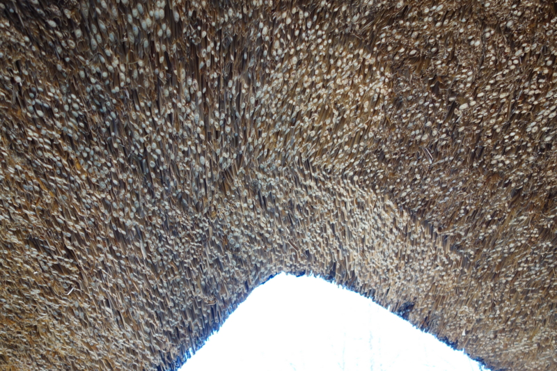 f:id:massneko:20150131123848j:plain