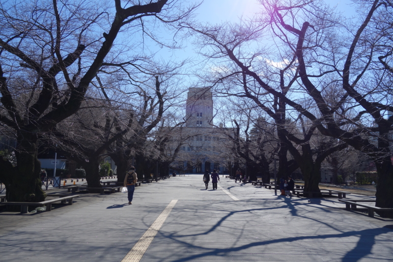 f:id:massneko:20150214130416j:plain