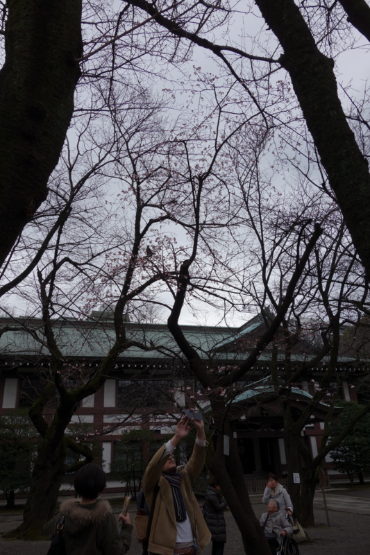 f:id:massneko:20150308153513j:plain