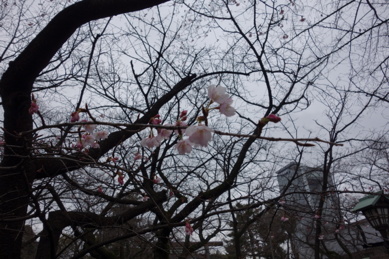 f:id:massneko:20150308153532j:plain