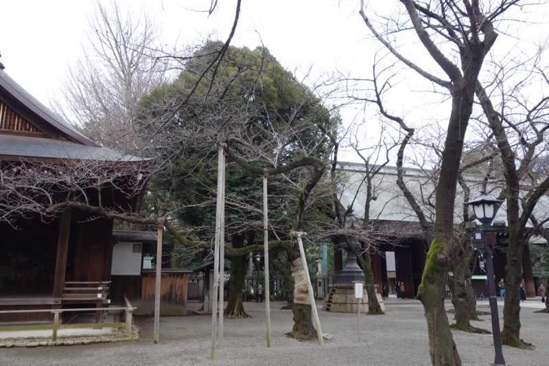 f:id:massneko:20150308153720j:plain
