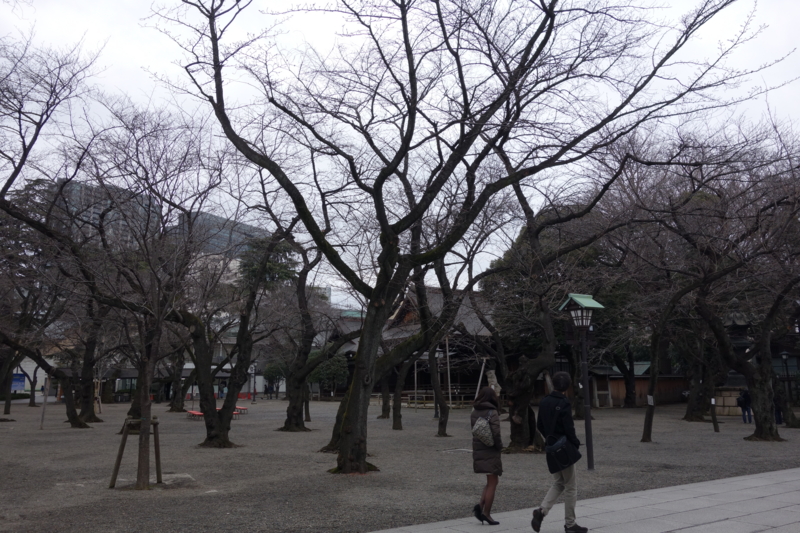f:id:massneko:20150308154000j:plain