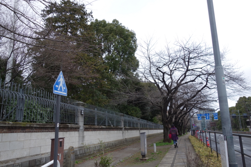 f:id:massneko:20150308160134j:plain