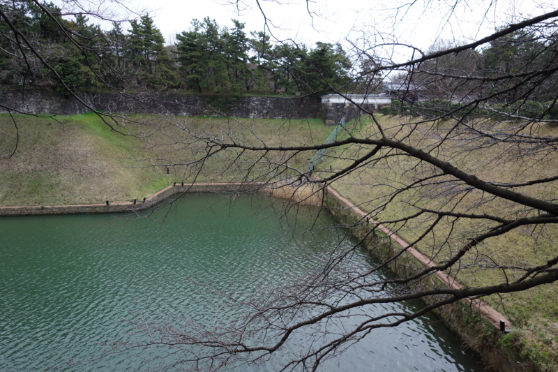 f:id:massneko:20150308160549j:plain
