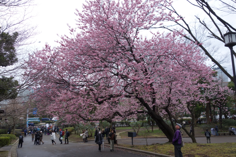 f:id:massneko:20150308161946j:plain