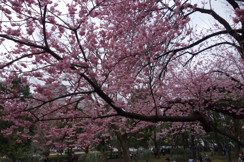 f:id:massneko:20150308162004j:plain