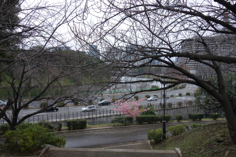 f:id:massneko:20150308162324j:plain