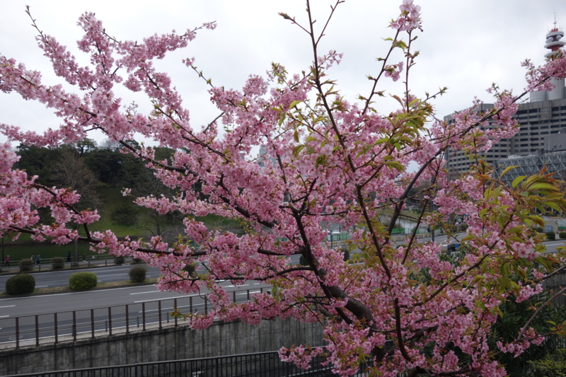 f:id:massneko:20150308162352j:plain