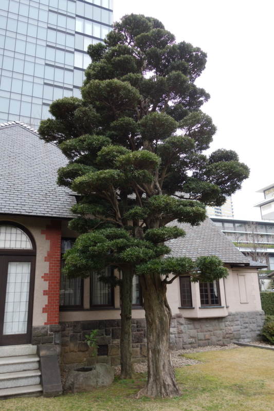 f:id:massneko:20150314151356j:plain f:id:massneko:20150314151356j:plain