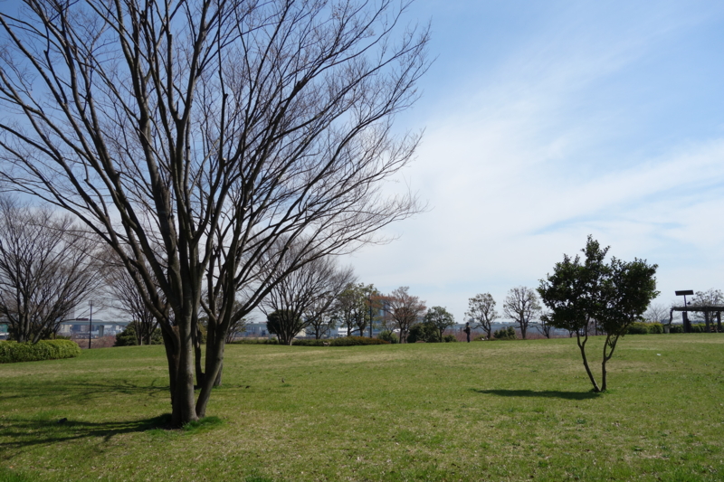 f:id:massneko:20150328125848j:plain f:id:massneko:20150328125848j:plain