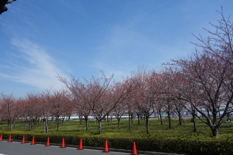 f:id:massneko:20150328130111j:plain f:id:massneko:20150328130111j:plain