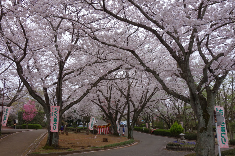 f:id:massneko:20150404145128j:plain f:id:massneko:20150404145128j:plain