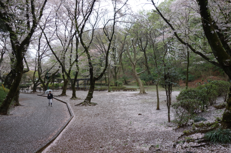 f:id:massneko:20150405130953j:plain f:id:massneko:20150405130953j:plain