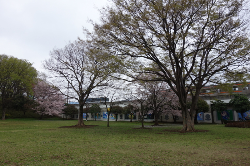 f:id:massneko:20150405131624j:plain f:id:massneko:20150405131624j:plain