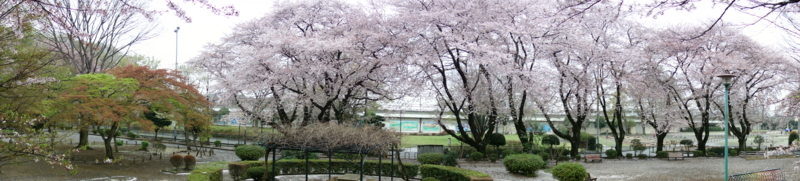 f:id:massneko:20150405132136j:plain f:id:massneko:20150405132136j:plain