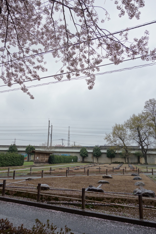 f:id:massneko:20150405132257j:plain f:id:massneko:20150405132257j:plain