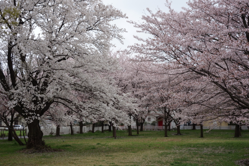 f:id:massneko:20150405134000j:plain f:id:massneko:20150405134000j:plain