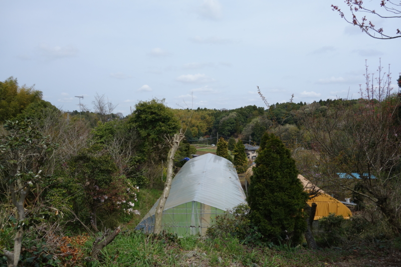 f:id:massneko:20150412123852j:plain