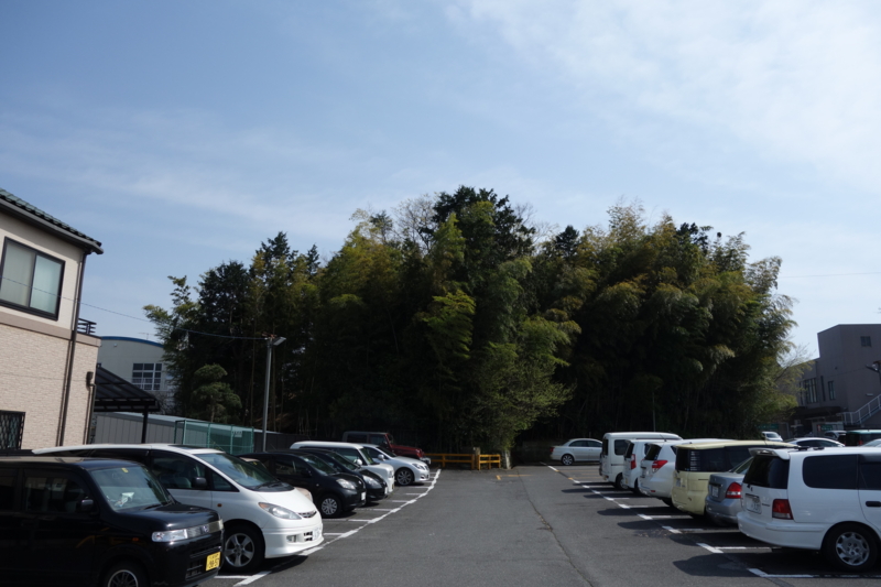f:id:massneko:20150418141321j:plain