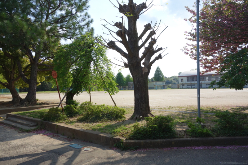 f:id:massneko:20150429151512j:plain