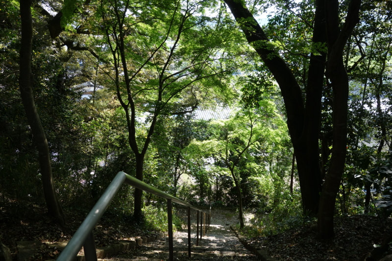 f:id:massneko:20150429152812j:plain f:id:massneko:20150429152812j:plain