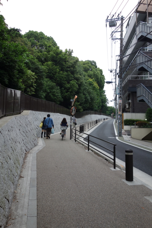f:id:massneko:20150616172247j:plain