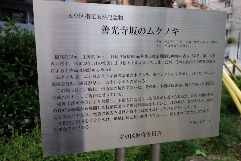 f:id:massneko:20150616175827j:plain