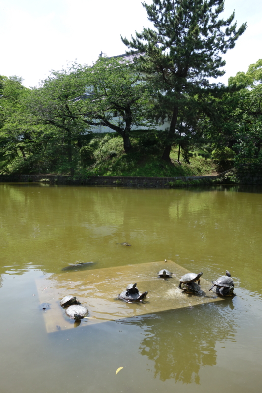 f:id:massneko:20150620133018j:plain