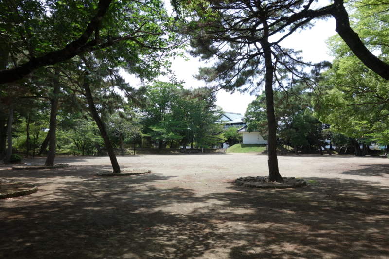 f:id:massneko:20150620133105j:plain