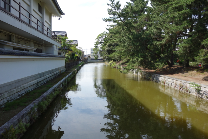 f:id:massneko:20150620145549j:plain f:id:massneko:20150620145549j:plain