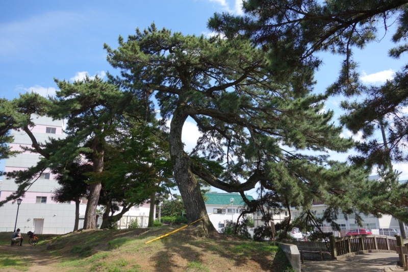 f:id:massneko:20150620145615j:plain