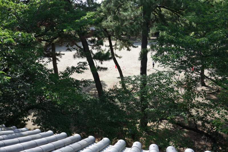 f:id:massneko:20150620150316j:plain