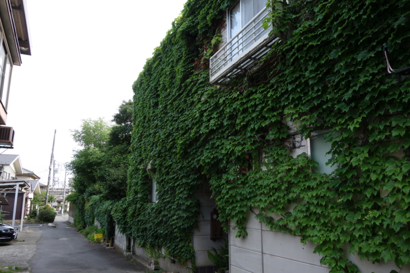 f:id:massneko:20150620160237j:plain