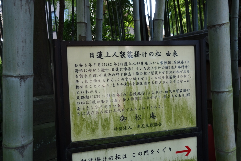 f:id:massneko:20150625140501j:plain