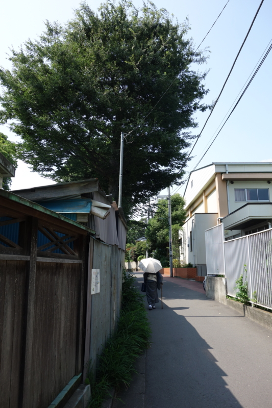 f:id:massneko:20150625140531j:plain